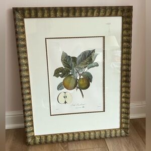 BOTANICAL VINTAGE PRINT FRENCH FRUIT - Custom Framing